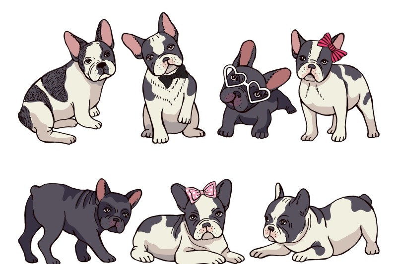 illustrations-set-of-cute-little-french-bulldog-funny-pictures-of-pup