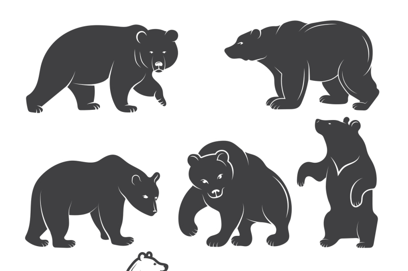 illustrations-of-bears-vector-animals-set