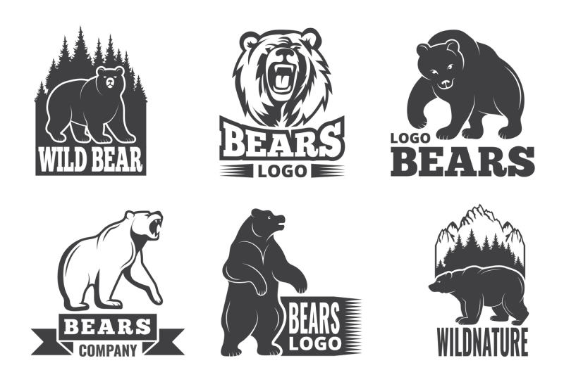 sport-labels-with-illustrations-of-animals-pictures-of-bears-for-logo