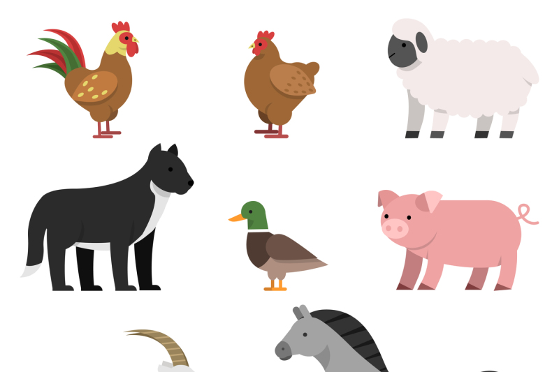 flat-illustrations-of-farm-animals