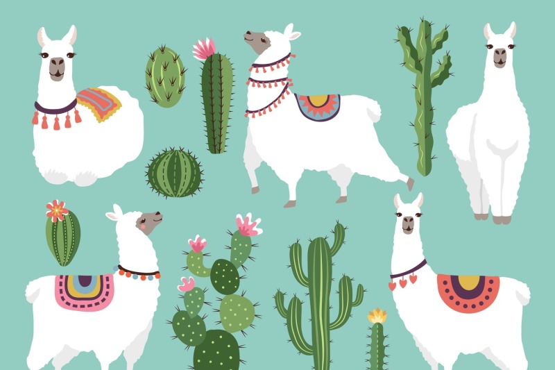 illustrations-of-funny-llama-vector-animal-in-flat-style