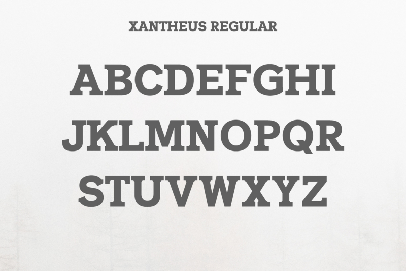 xantheus-serif-font-family