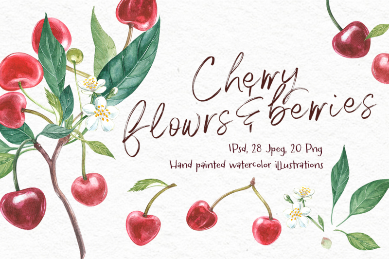 cherry-graphic-amp-watercolor-clipart