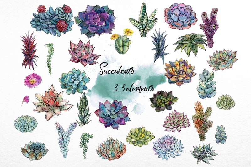 succulents-watercolor-graphics