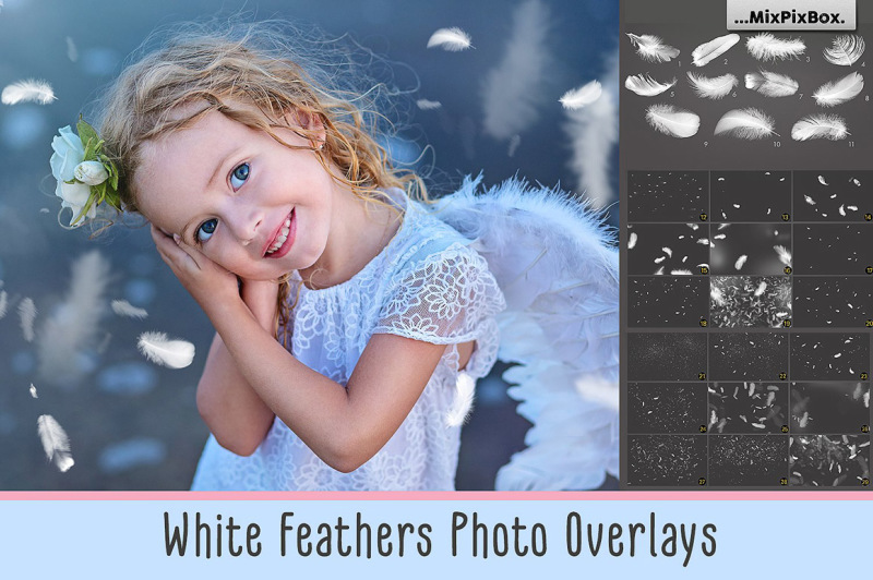 white-feathers-overlays
