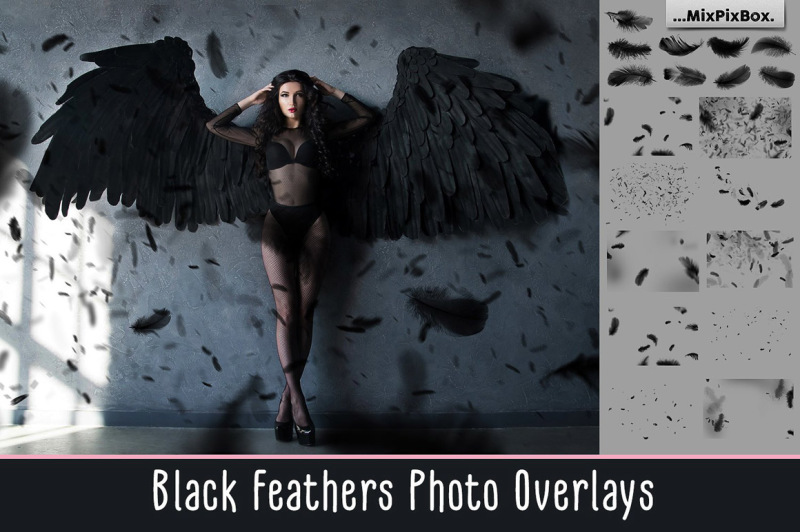 black-feathers-overlays