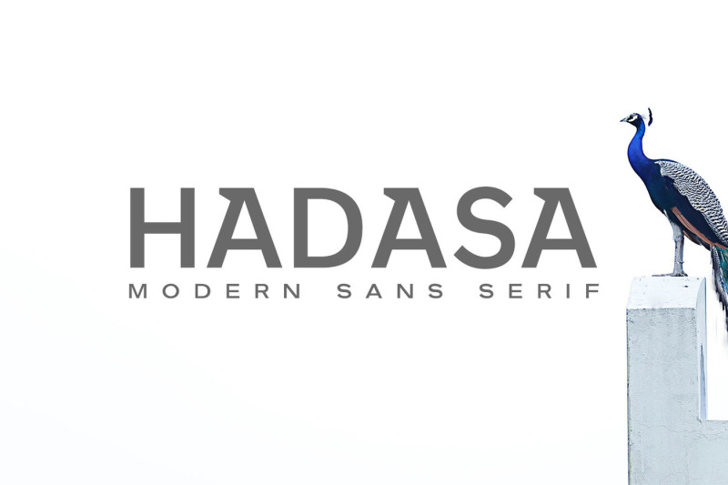 hadasa-sans-serif-font-family
