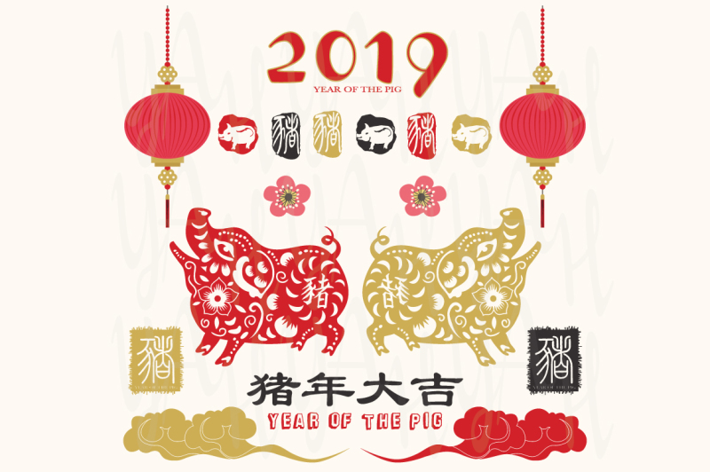 the-year-of-pig-2019-collections