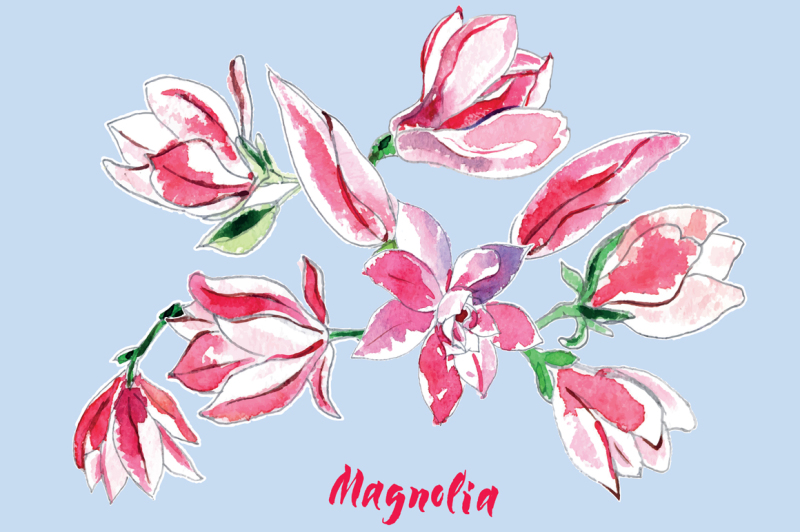 watercolor-magnolias-for-wedding