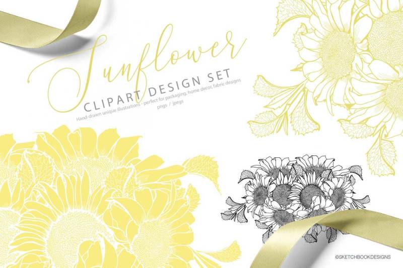 hand-drawn-sunflower-clipart-set