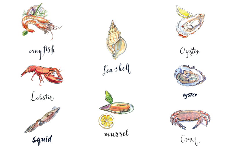 watercolor-shellfish-and-seafood-set