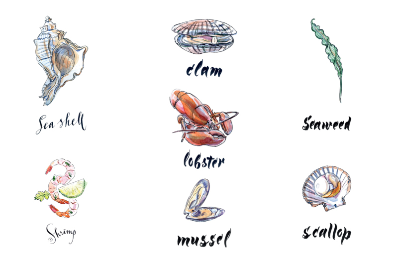 watercolor-shellfish-and-seafood-set