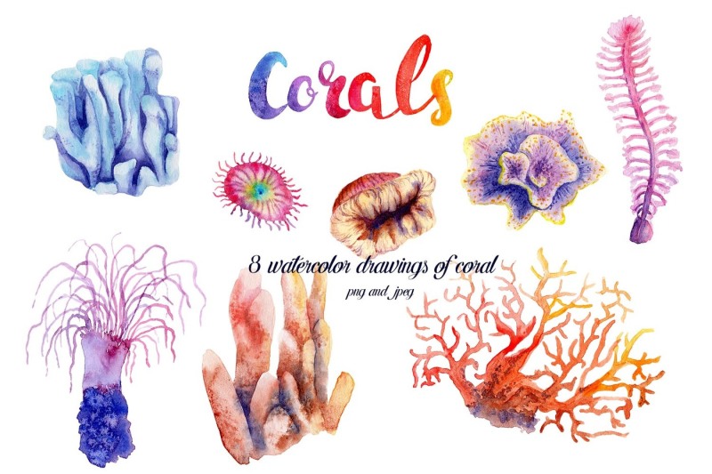 watercolor-drawings-of-bright-fish-and-corals