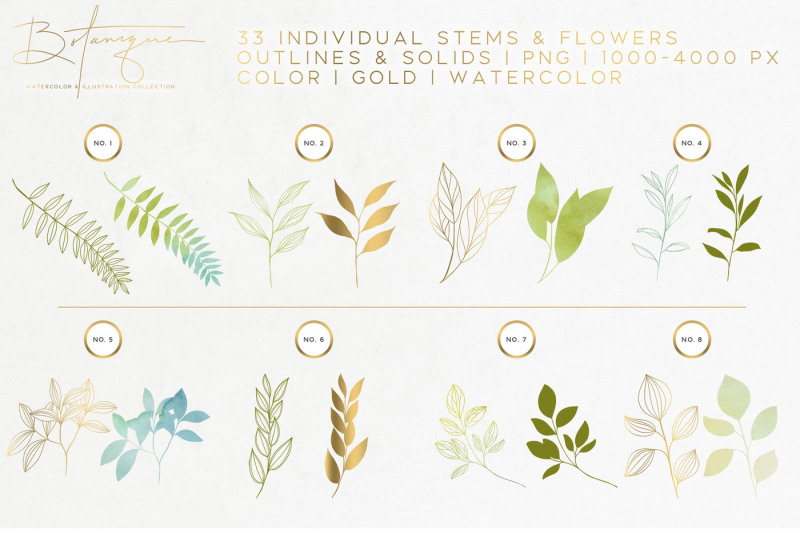 botanique-floral-watercolor-kit