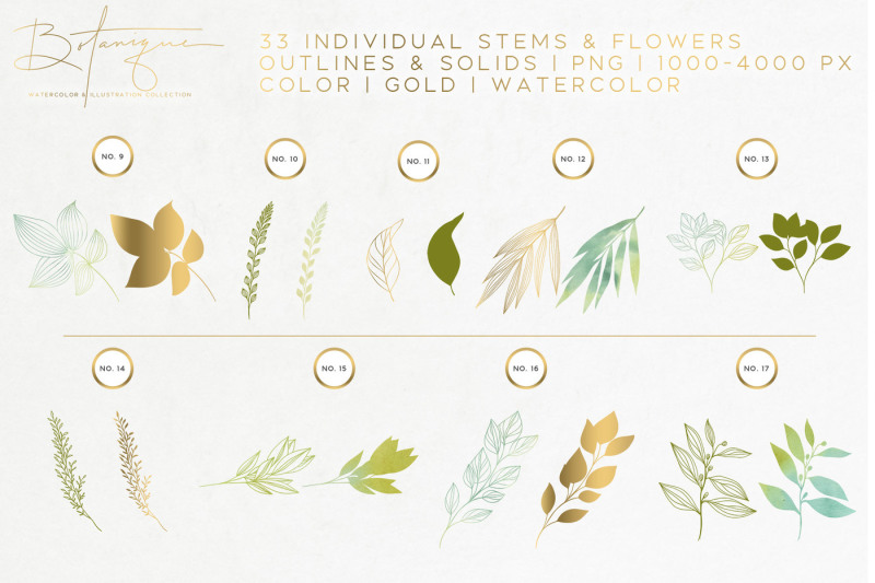 botanique-floral-watercolor-kit