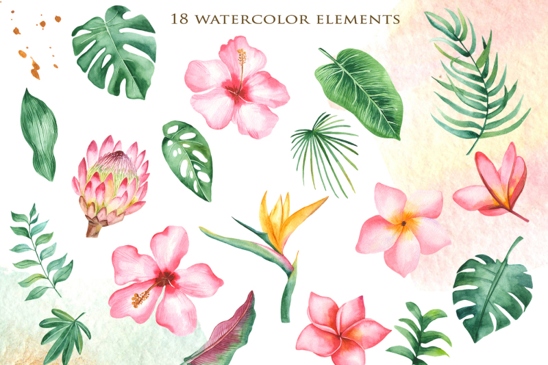 tropical-plants-watercolor-clipart-frames-cards-patterns