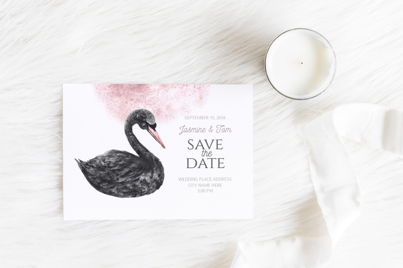 watercolor-black-swan-set