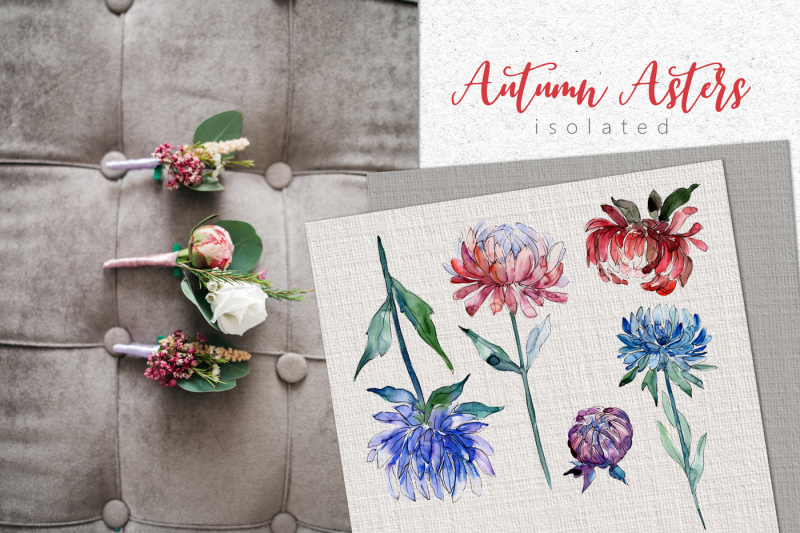 autumn-asters-png-watercolor-set