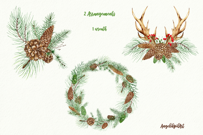 conifers-cones-and-twigs-watercolor