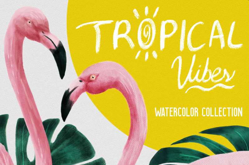 tropical-vibes