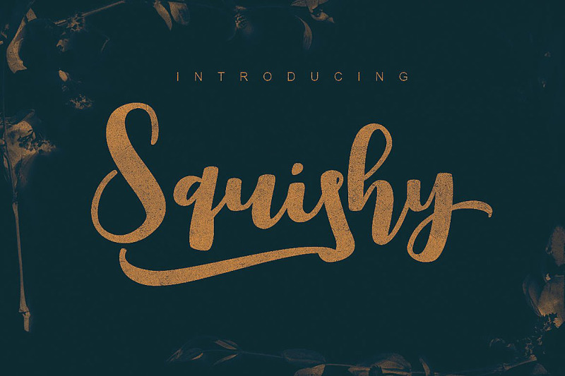 squishy-script-font