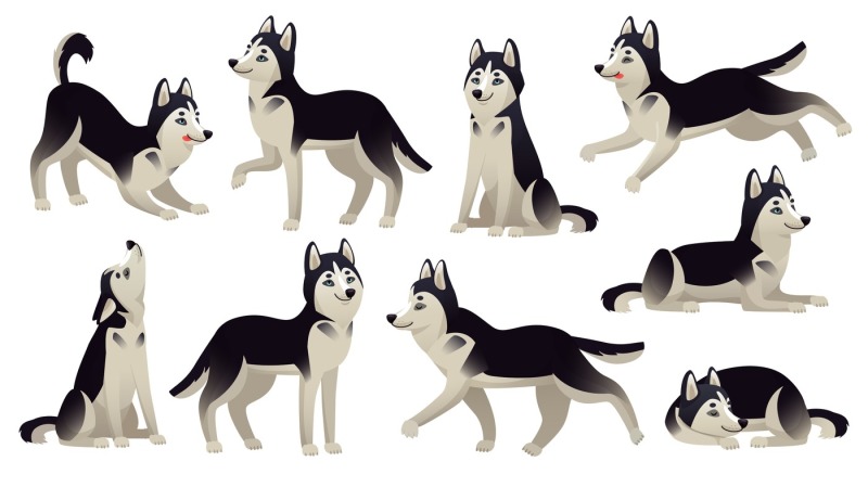 husky-dog-poses-cartoon-running-sitting-and-jumping-dogs-active-hus