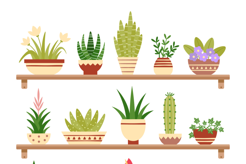 houseplants-on-shelf-flower-in-pot-potted-houseplant-and-plant-pots