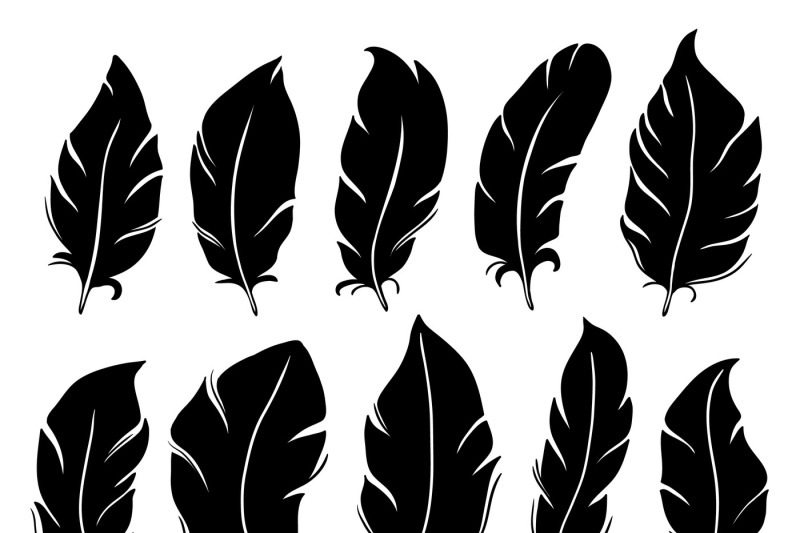 feather-silhouette-bird-wing-feathers-lung-quill-and-vintage-pen-iso
