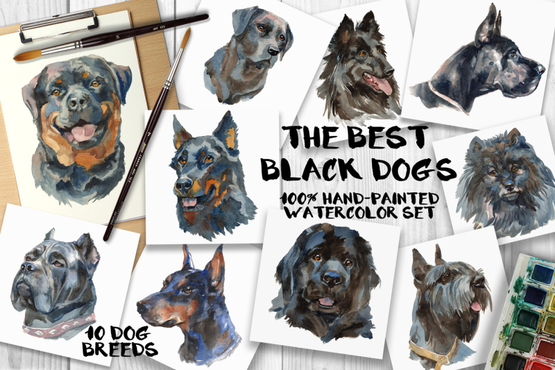 the-best-black-dogs-watercolor-set