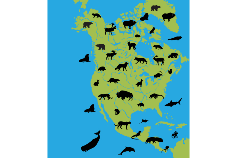animals-on-the-map-of-north-america