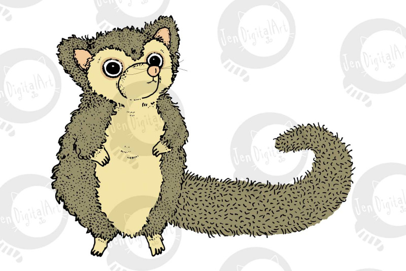 possums-5-cute-images-clip-art-illustrations-png-jpeg