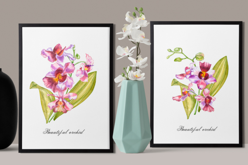 orchids-branch-in-botanical-style