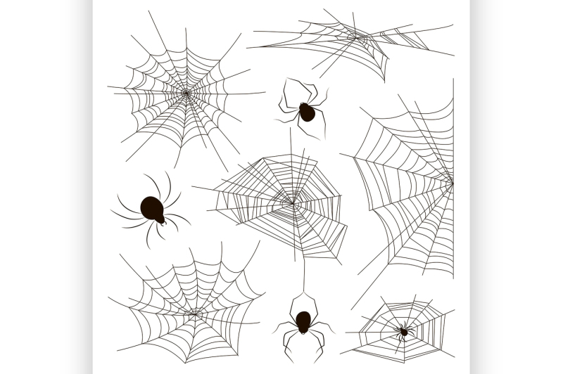 collection-of-spiders-and-webs
