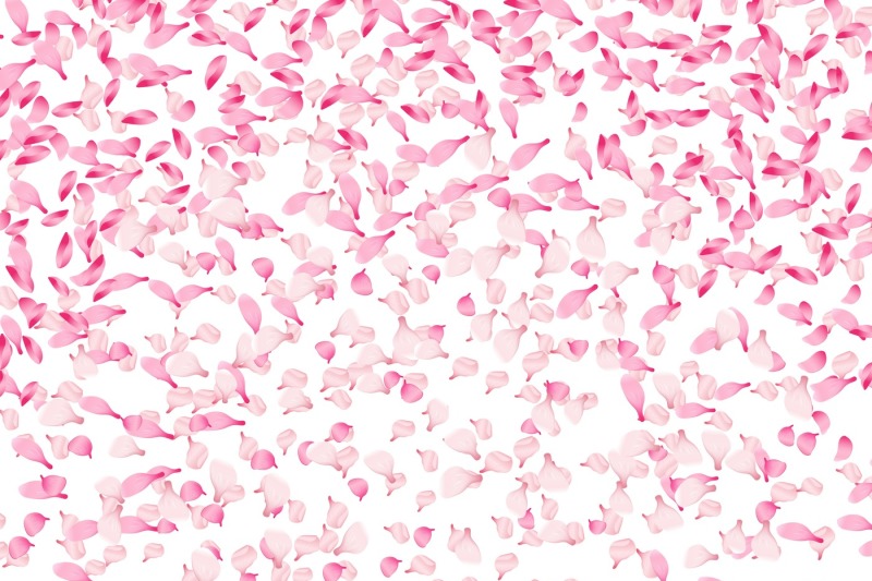 spring-vector-background-with-falling-pink-petals-of-sakura-blossom