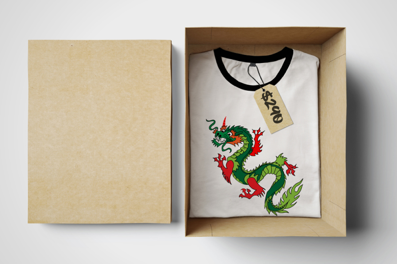 dragon-t-shirt-design-illustration