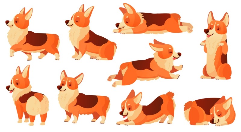 cartoon-dog-character-sleeping-corgi-dogs-poses-pedigree-dog-fitness