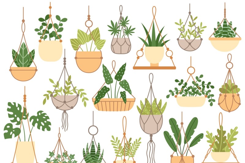 plants-in-hanging-pots-decorative-macrame-handmade-hangers-for-flower