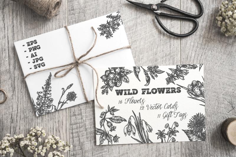 wild-flowers-collection
