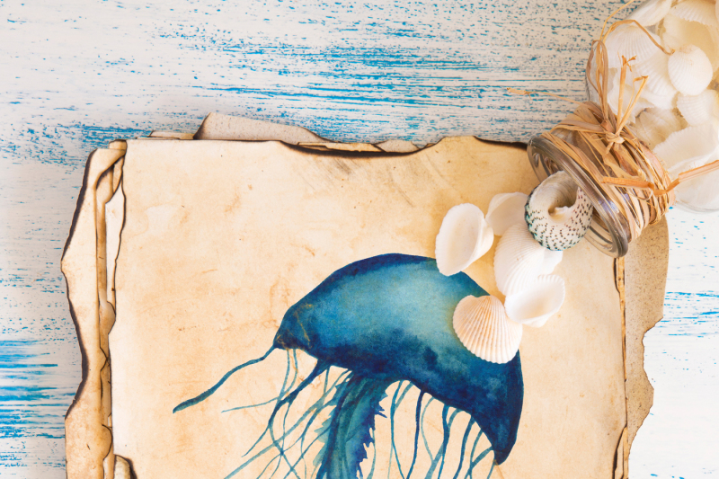 blue-ocean-mammals-watercolor-collection