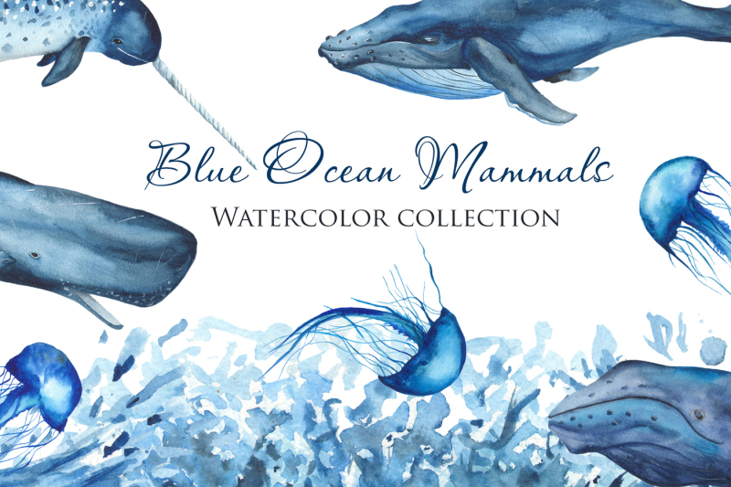 blue-ocean-mammals-watercolor-collection