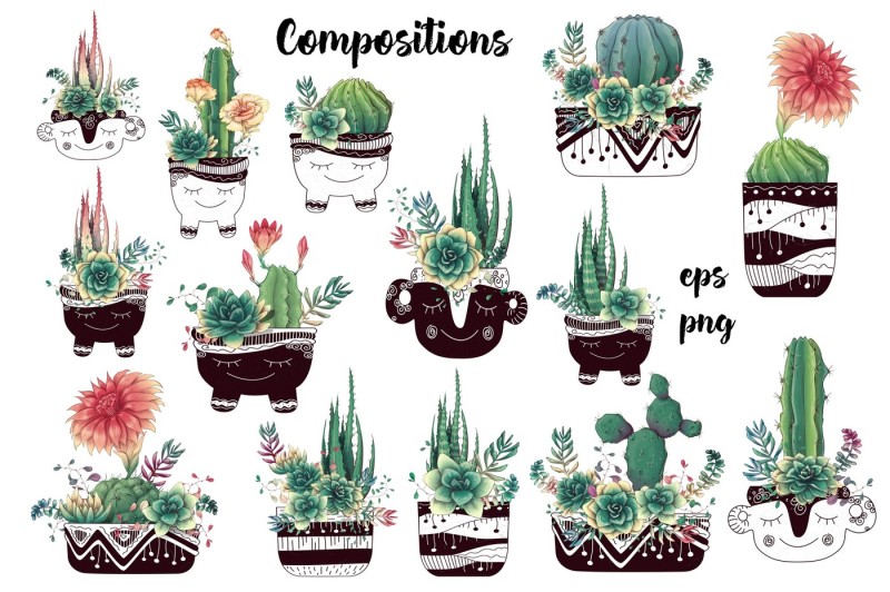 cacti-and-succulents