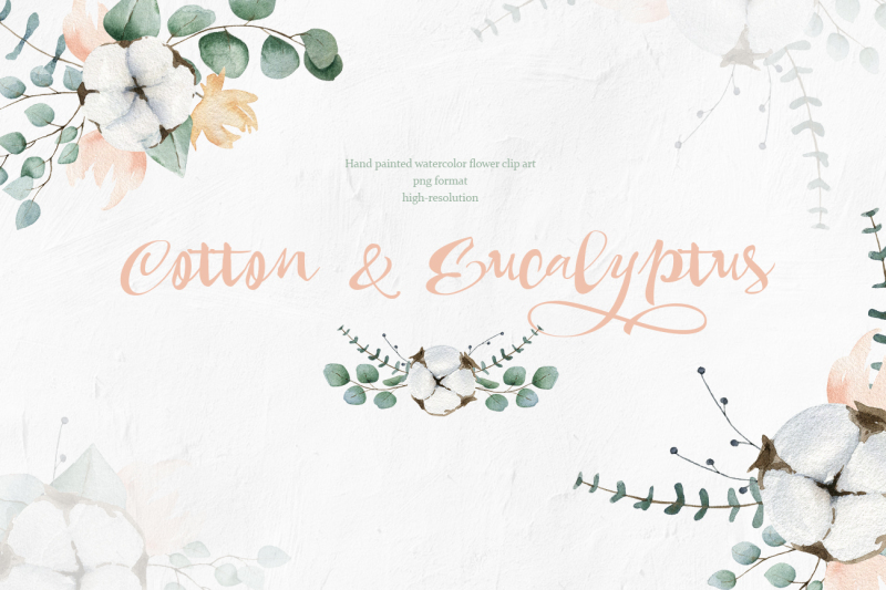 cotton-and-eucalyptus