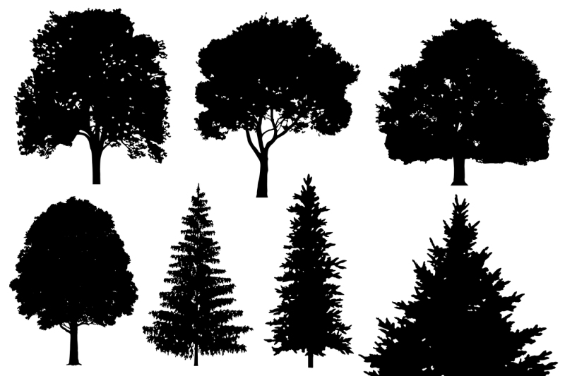 forest-coniferous-and-deciduous-fir-trees-vector-silhouettes-set