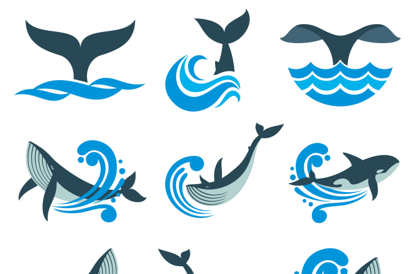 wild-whale-in-sea-waves-and-water-splashes-vector-icons