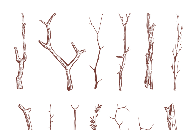 hand-drawn-wood-twigs-wooden-sticks-tree-branches-vector-rustic-deco