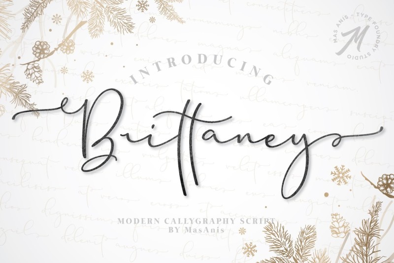 brittaney-modern-calligraphy-font