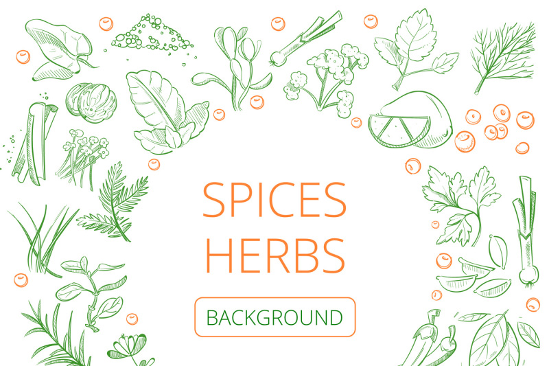 hand-drawn-herbs-and-spices-vector-healthy-natural-plants-background