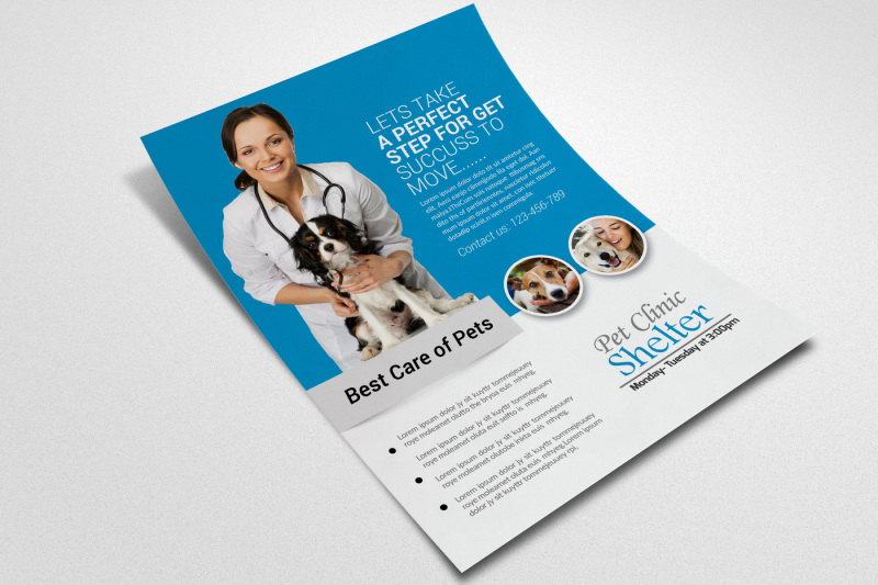 pet-clinic-and-care-center-flyer