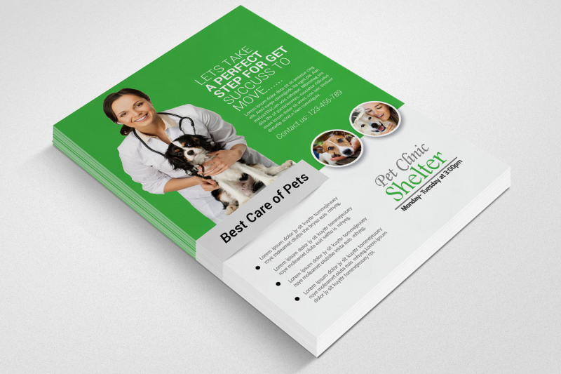pet-clinic-and-care-center-flyer