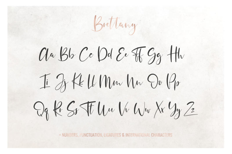 Brettany Script Font By Pededesigns Thehungryjpeg Com